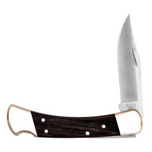 Buck 110 Folding Hunter Knife