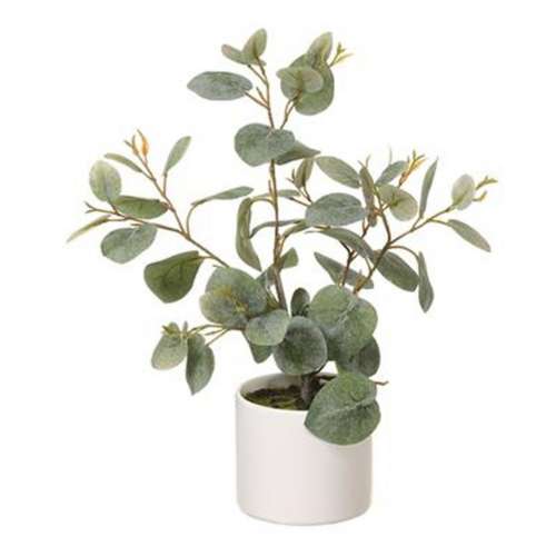 Allstate Floral 14.5" Eucalyptus Plant