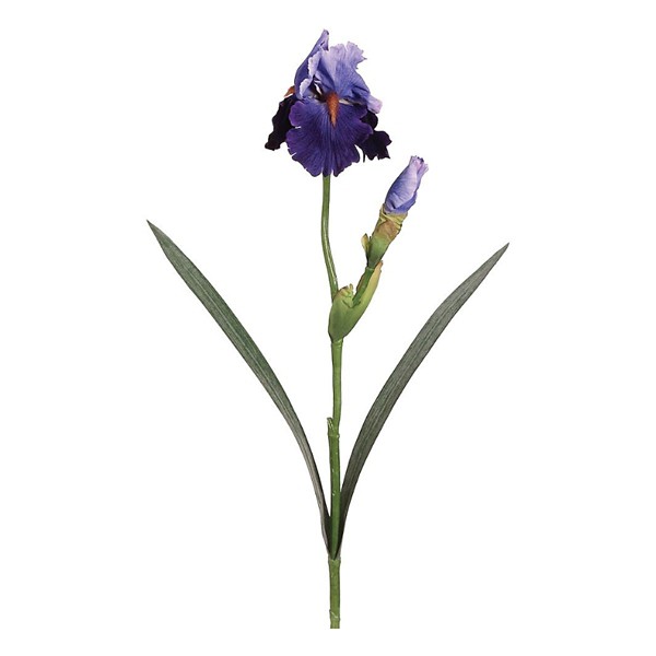 Allstate Floral 28" Bearded Iris Spray with Water-Resistant Stem