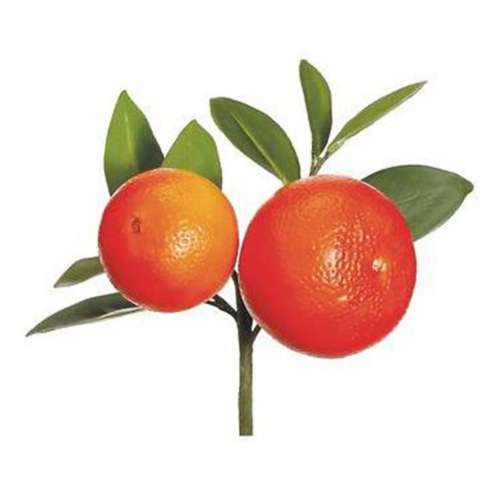 Allstate Floral Orange Stem