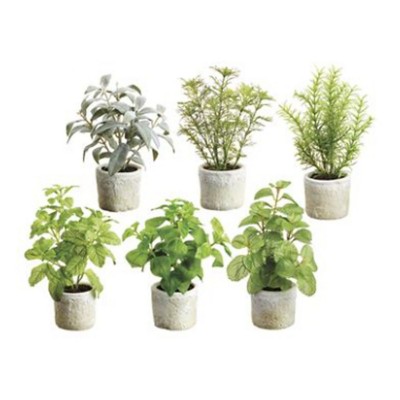 Allstate Floral Herb Garden in Clay Pot (Styles May Vary)
