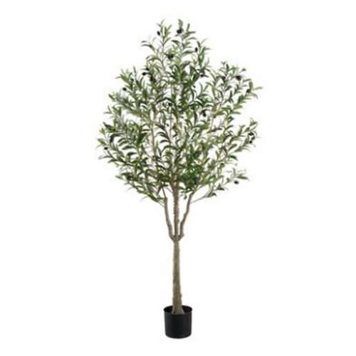 Allstate Floral 63" Olive Tree in Plastic Pot