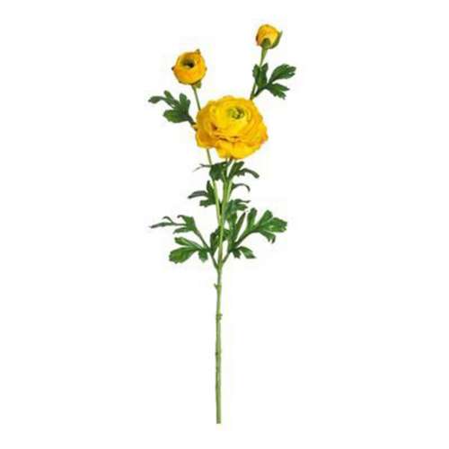 Allstate Floral Ranunculus Stem | SCHEELS.com