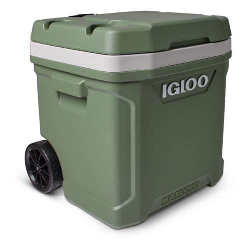 Igloo ECOCOOL 60 Qt Cooler | SCHEELS.com