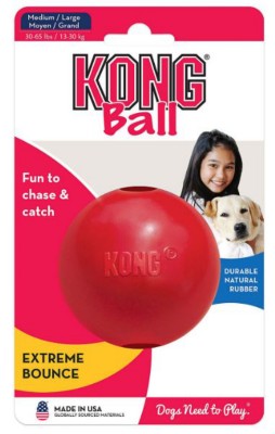 KONG Goody Ball Dog Toy