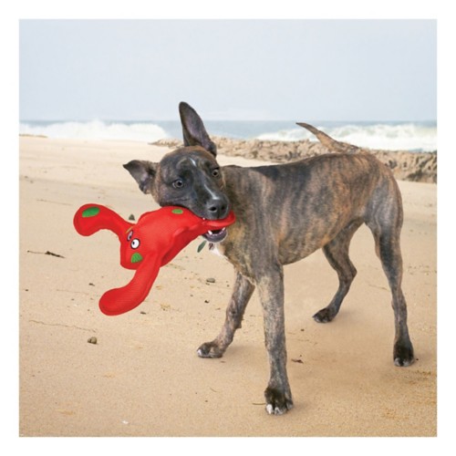 KONG Belly Flop Oceanic Creatures Dog Toy
