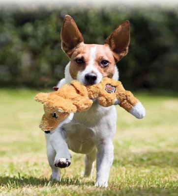 kong scrunch knots fox