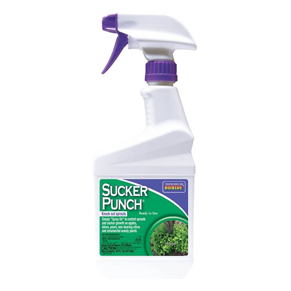 Bonide Sucker Punch Undesirable Fruit Weed & Feed RTU Liquid 16 oz