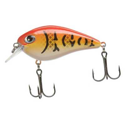 DB Craw