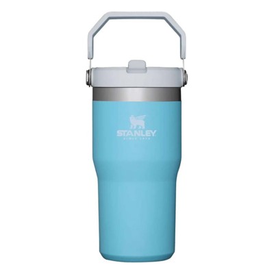 Stanley IceFlow 20 oz Flip Straw Tumbler | SCHEELS.com