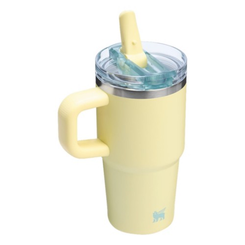 Stanley 20 oz Quencher ProTour Flip Straw Tumbler