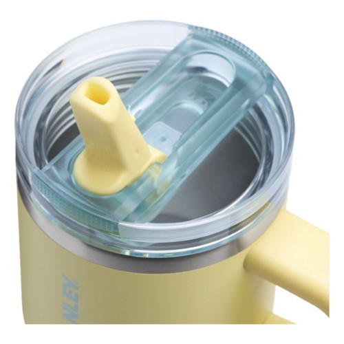 Stanley 20 oz Quencher ProTour Flip Straw Tumbler