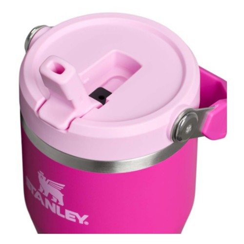 Stanley IceFlow 20 oz Flip Straw Tumbler