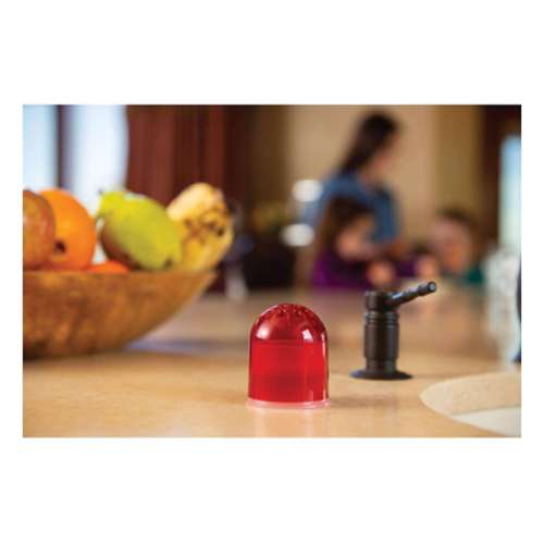 RESCUE!® Fruit Fly Trap