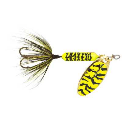 Chartreuse Black Tiger
