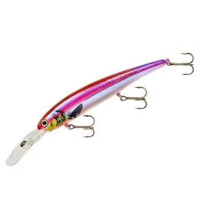 Purple Shad