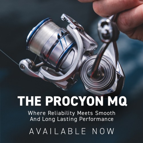 Daiwa Procyon MQ Spinning Reel