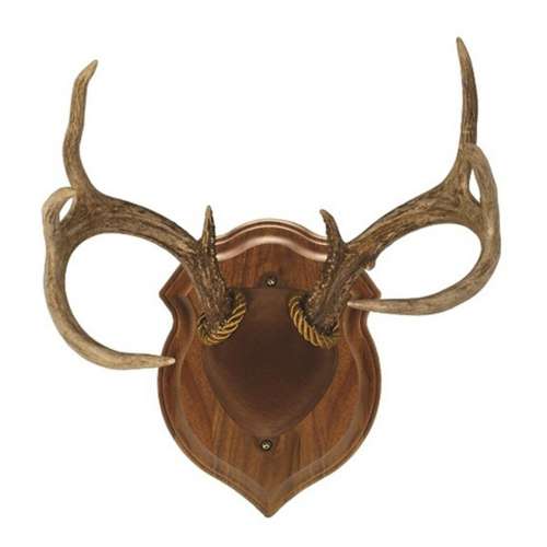 Walnut Hollow Country Deluxe Antler Mount Kit