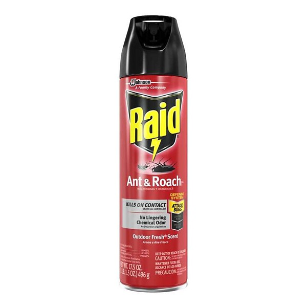 Raid Aerosol Insect Killer 17.5 oz - Raid
