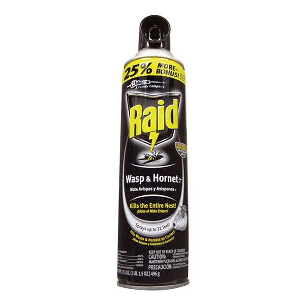 Raid Spray Wasp and Hornet Killer 17.5 oz - Raid
