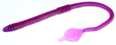 mann's jelly worm