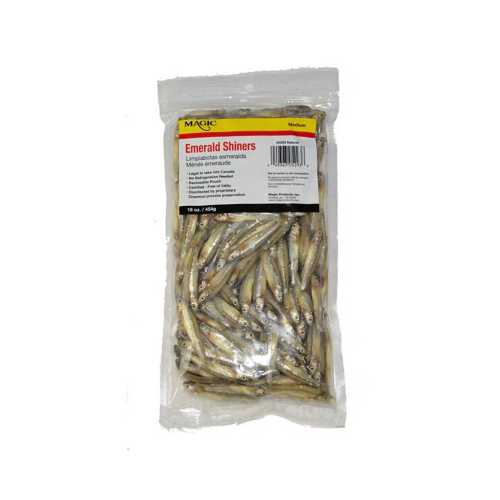 Magic Preserved Bulk Shiner Minnows 16 Oz