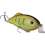 Strike King Hybrid Hunter - Thumbnail 28 of 48