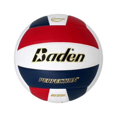 Baden Perfection Leather Game Volleyball