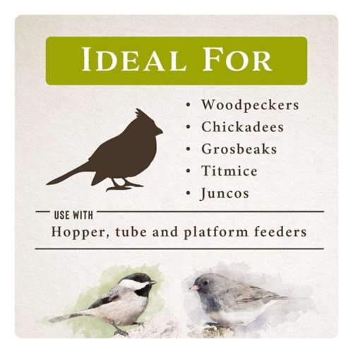 Songbird Selections Perfect Balance Bird Food