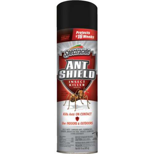 Spectracide Ant Shield Insect Killer - 15 oz