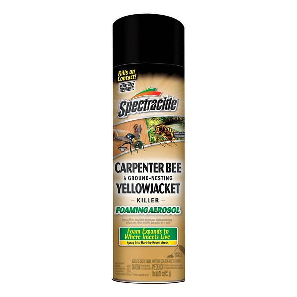 Spectracide Foam Insect Killer 16 oz - Spectracide