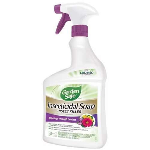 Garden Safe Organic Spray Insecticidal Soap 32 oz