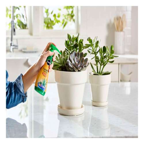 Miracle-Gro Succulent Liquid Cacti, Jade and Aloe Plant Food 8 oz