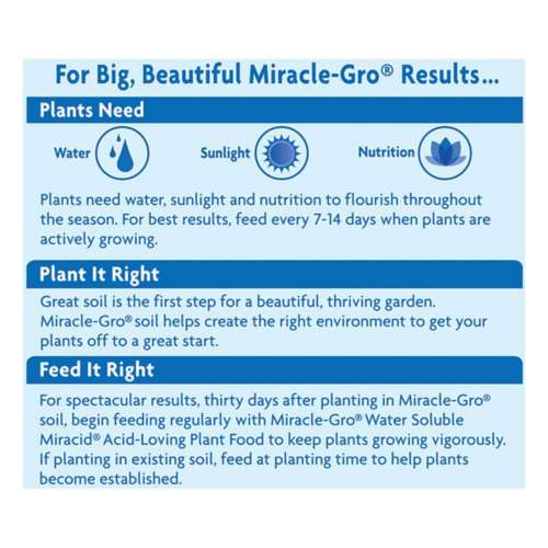 Miracle-Gro Miracid Powder Hibiscus Plant Food 4 lb