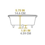 Lodge 12 Inch 6 Quart Cast Iron Camp Dutch Oven - Thumbnail 4 of 5
