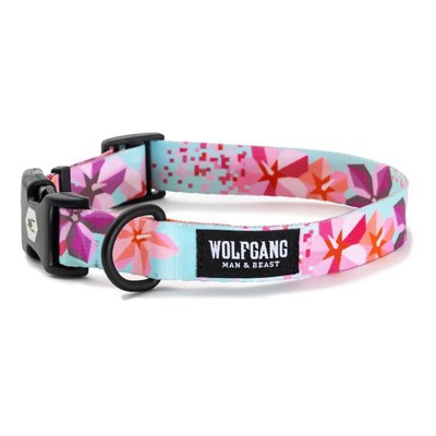 Wolfgang Man and Beast Dog Collar