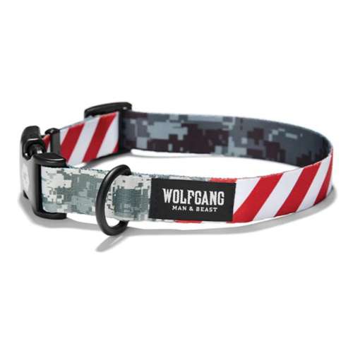 Wolfgang Man and Beast Wide Dog Collar