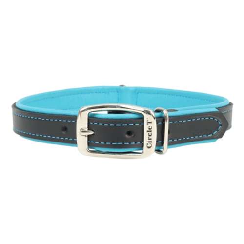 Circle T Double-Ply Leather Dog Collar