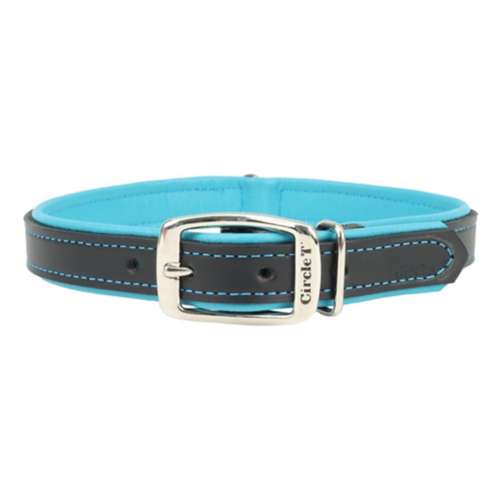 Circle T Double-Ply Leather Dog Collar