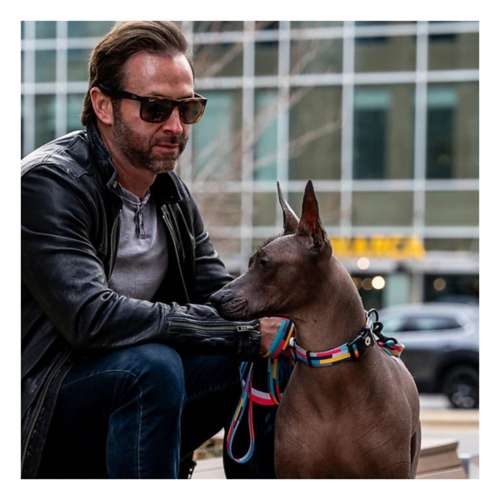 Wolfgang Man and Beast Dog Collar