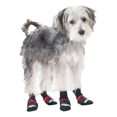 Dog duck boots best sale