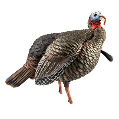 Avian-X HDR Jake Turkey Decoy