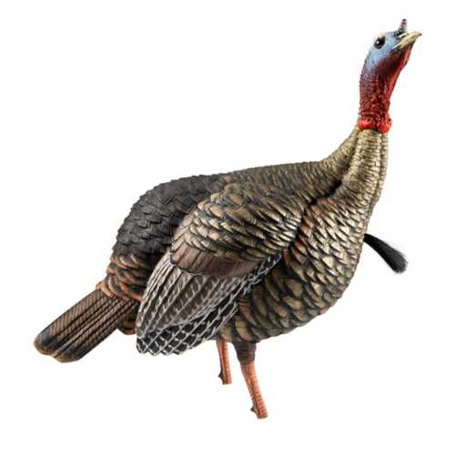 AvianX HDR Jake Turkey Decoy