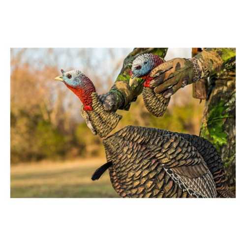 AvianX HDR Jake Turkey Decoy