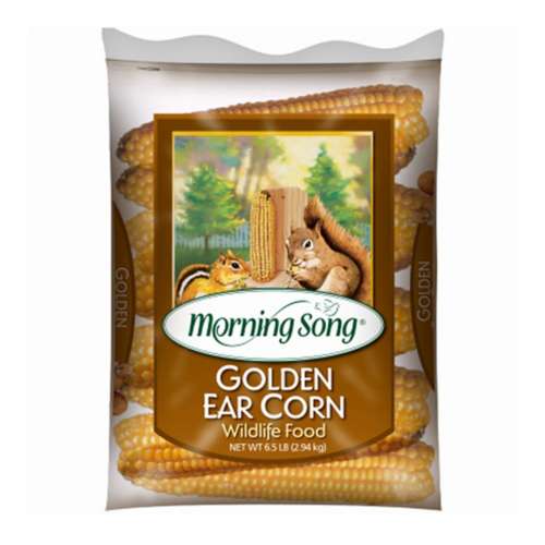 Morning Song Golden Ear Corn