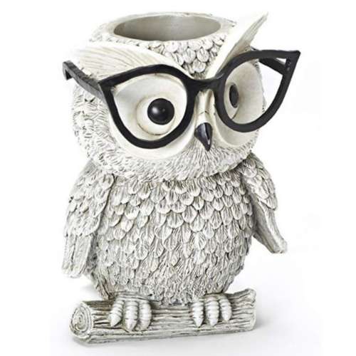 Roman Silly Spectacles White Owl Planter