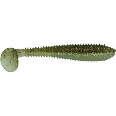 Northern Minnow