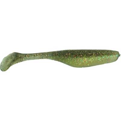 Northern Minnow