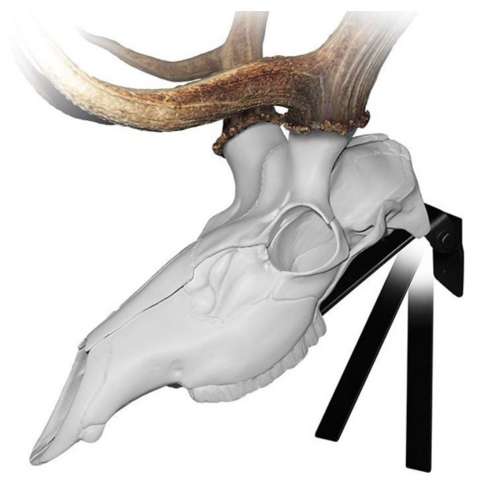 Mountain Mike's Deer Skull Positioner Hanging Bracket