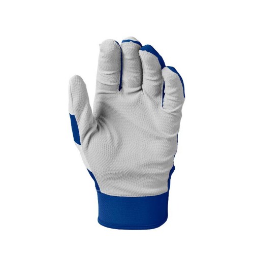 Youth EvoShield SRZ-1 Baseball Batting Gloves - Primary Image